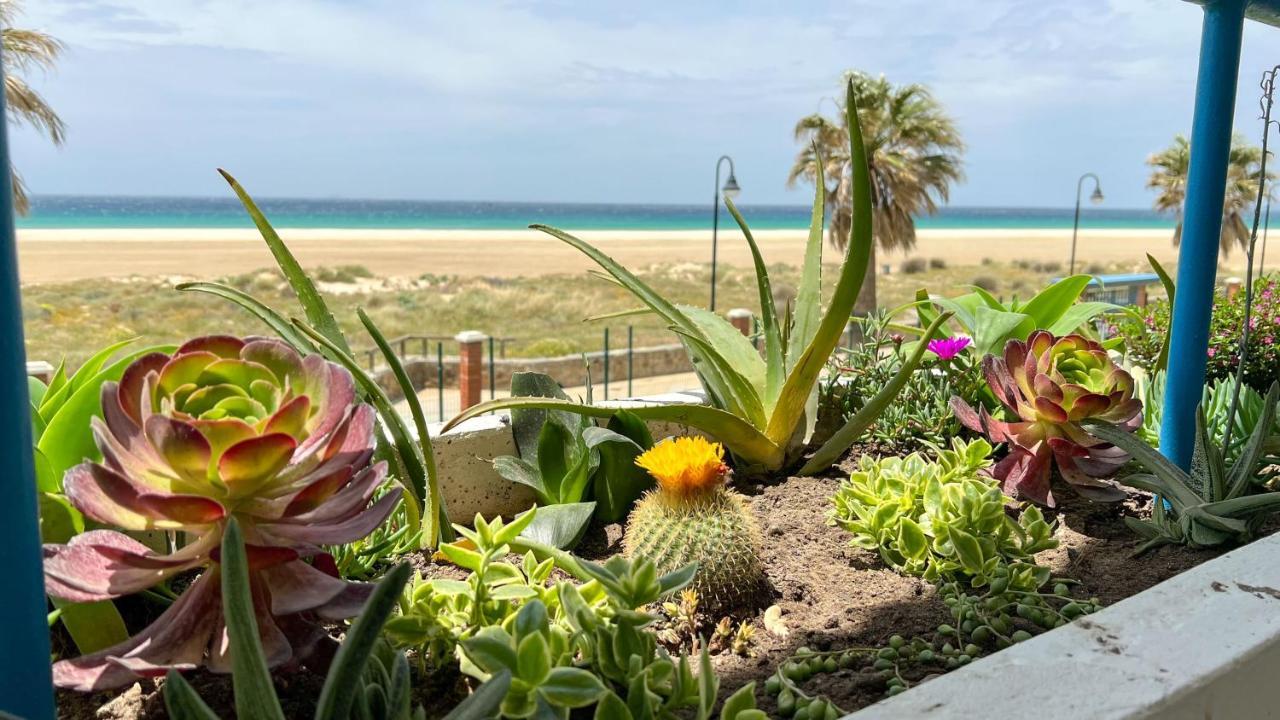 Cozy House - Beachfront, Stylish Deco * Tarifa